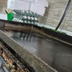 Foto: MP-RS / Divulga&ccedil;&atilde;o