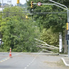 Estragos causados pela tempestade ocorrida em Porto Alegre na noite de 29/01/2016. Fotos feitas nos pr&eacute;dios sede e administrativo do TRT-RS, Foro Trabalhista local e arredores. Fotos de In&aacute;cio do Canto / Secom, TRT-RS