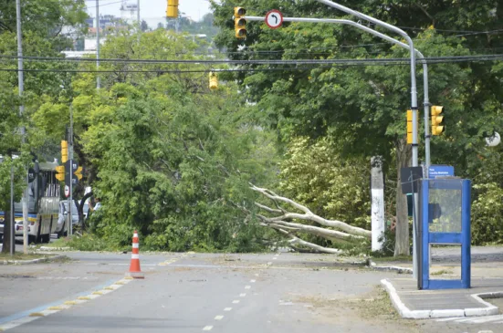 Estragos causados pela tempestade ocorrida em Porto Alegre na noite de 29/01/2016. Fotos feitas nos prédios sede e administrativo do TRT-RS, Foro Trabalhista local e arredores. Fotos de Inácio do Canto / Secom, TRT-RS