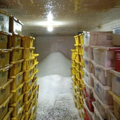 Foto: MP-RS / Divulga&ccedil;&atilde;o